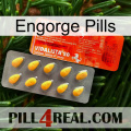 Engorge Pills new01